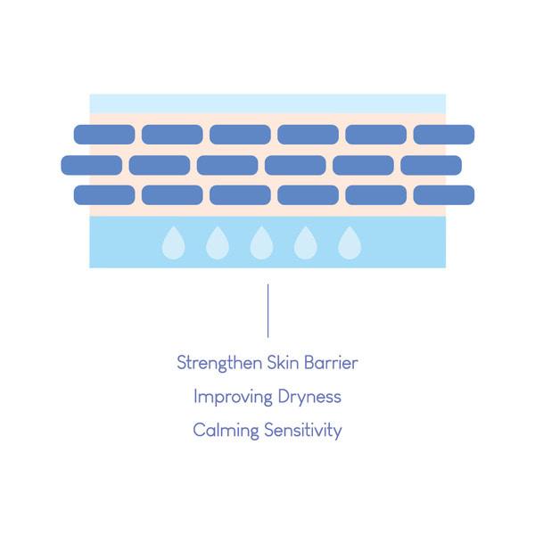 Dermide Cica Barrier Sleeping Pack 80ml - PIBU Skincare