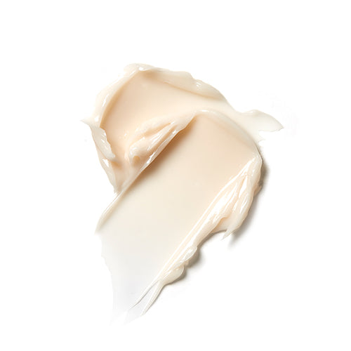 Time Revolution Primestem100 Eye Cream 25ml - PIBU Skincare