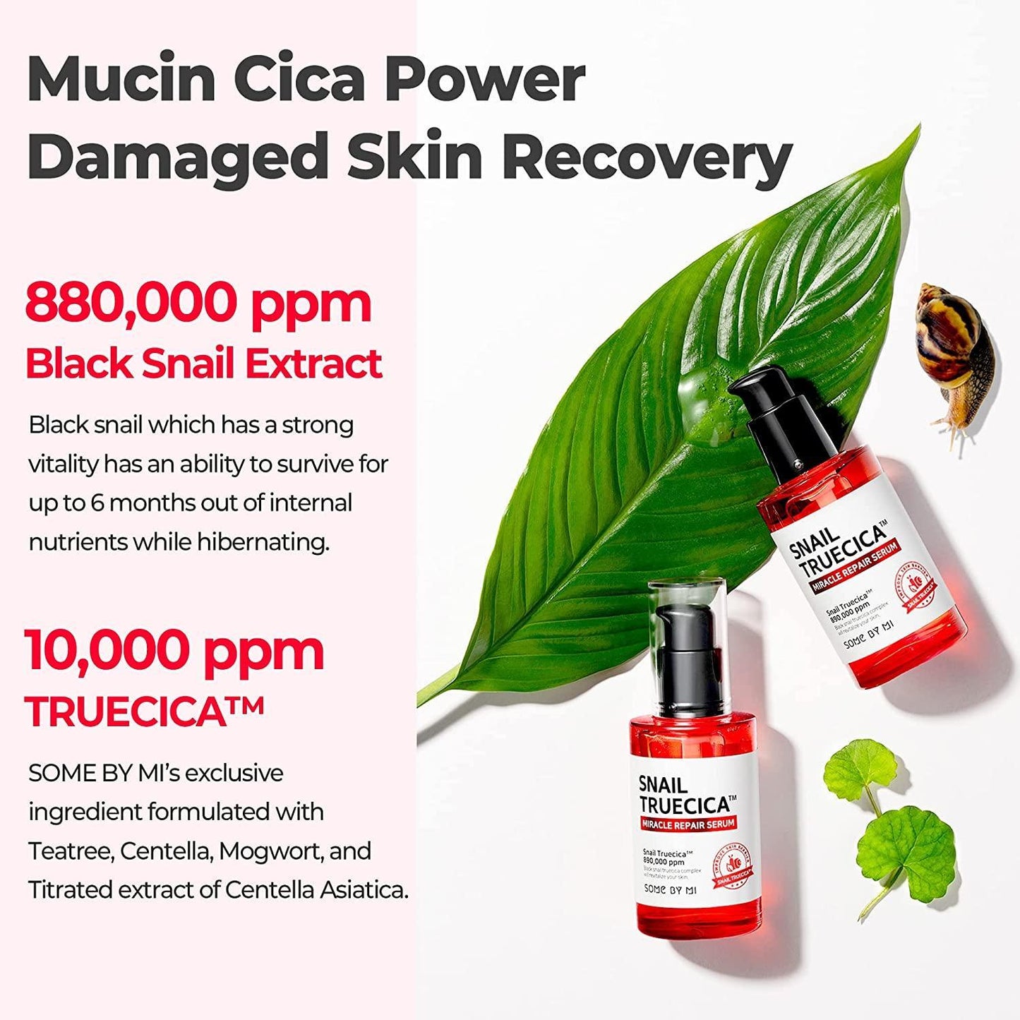 SNAIL TRUECICA MIRACLE REPAIR SERUM 50ml - PIBU Skincare