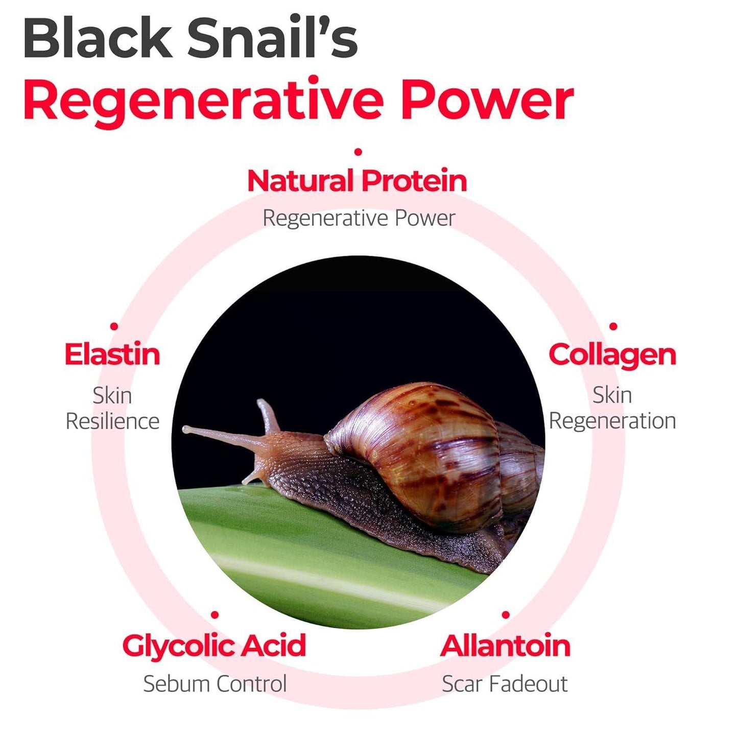 SNAIL TRUECICA MIRACLE REPAIR SERUM 50ml - PIBU Skincare