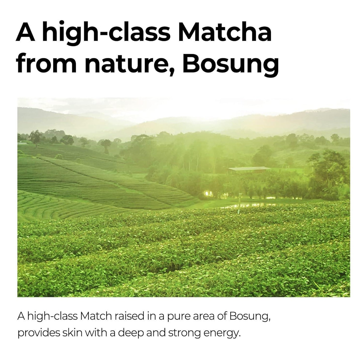 Super Matcha Pore Tightening Serum 50ml - PIBU Skincare