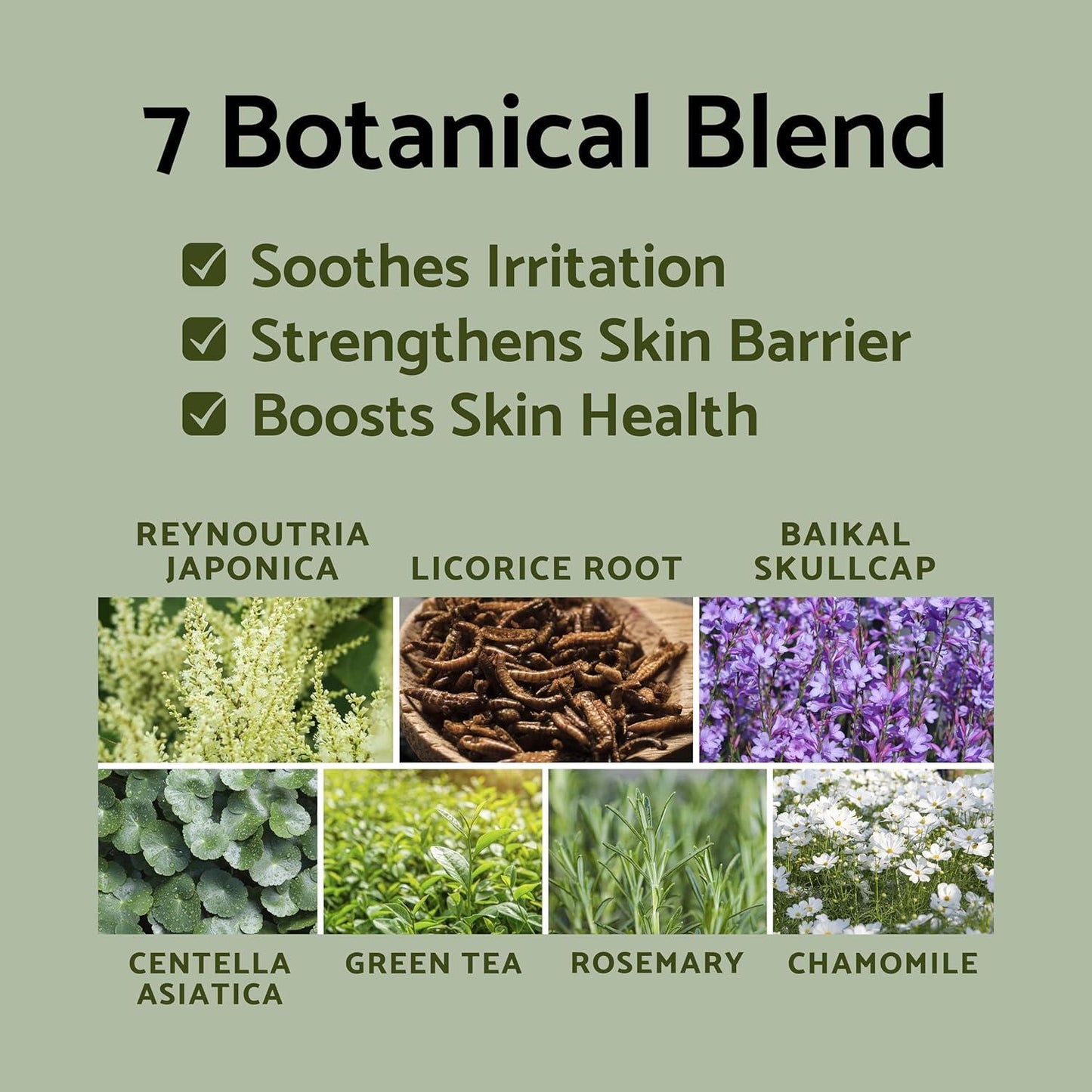 Rose Galactomyces Essential Toner 200ml - PIBU Skincare